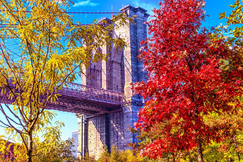 Brooklyn This Fall 5 Fun Activities and real estate Erica Sullivan Properties